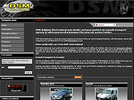 D S M INTERNATIONAL NV website